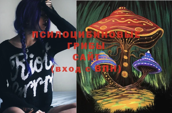 спайс Богородск