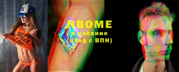 шишки Богородицк