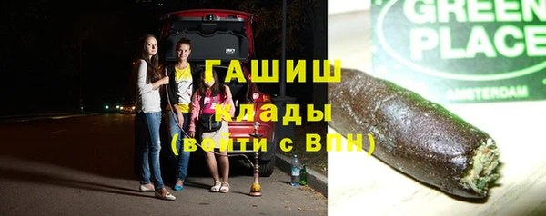 шишки Богородицк