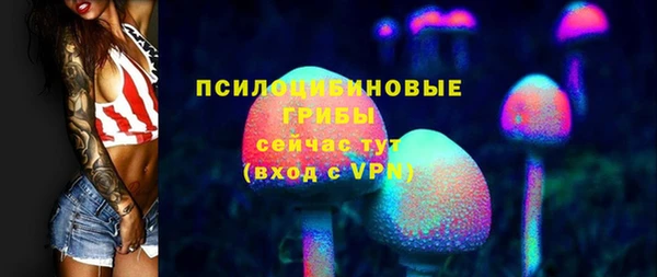 шишки Богородицк