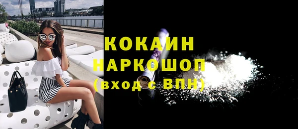 шишки Богородицк