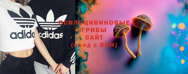 шишки Богородицк