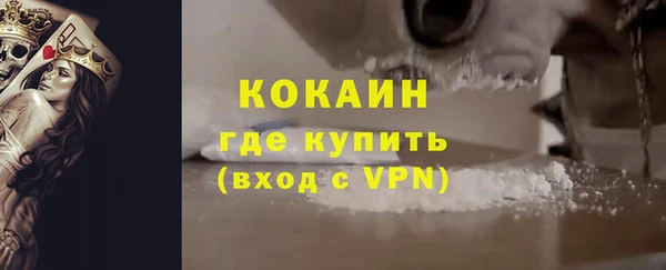 шишки Богородицк