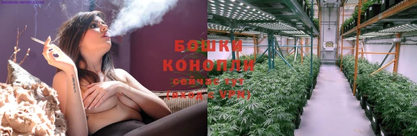 шишки Богородицк