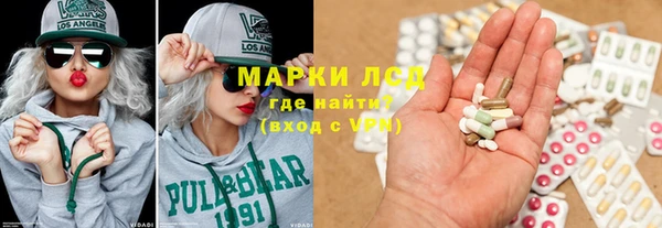 шишки Богородицк